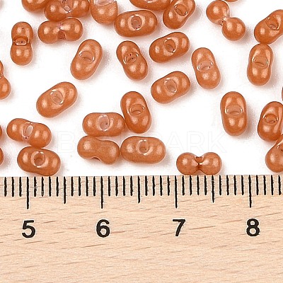 Baking Paint Glass Seed Beads SEED-L011-09A-25-1