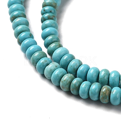 Natural Howlite Beads Strands G-C025-09C-1