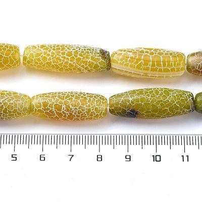Natural Weathered Agate Beads Strands G-P570-C04-01-1