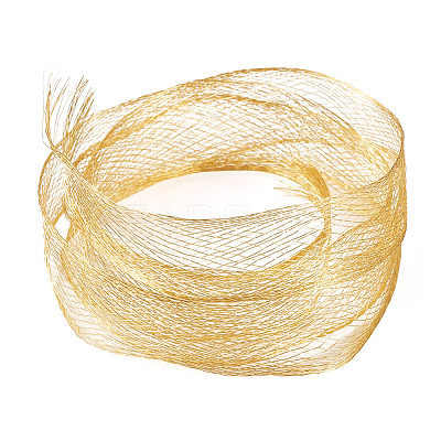 1M Mesh Ribbon PNT-TA0001-02C-1