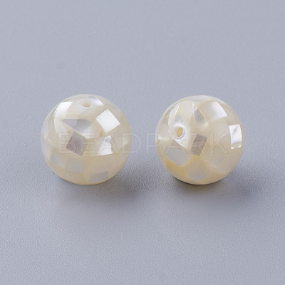 Natural White Shell Beads X-SSHEL-Q298-10mm-08-1