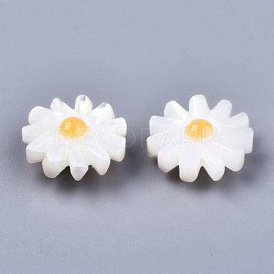 Natural White Shell Mother of Pearl Shell Beads SHEL-S266-13B-1