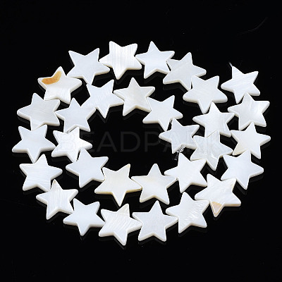 Natural Freshwater Shell Beads Strands LS-SHEL-S278-01D-01-1