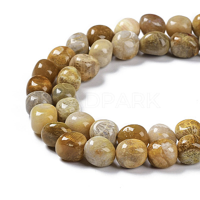 Natural Fossil Coral Beads Strands G-C038-02T-1