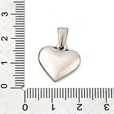 304 Stainless Steel Pendants STAS-P278-01L-P-1-1