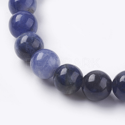Natural Sodalite Beads Strands G-G515-8mm-07-1