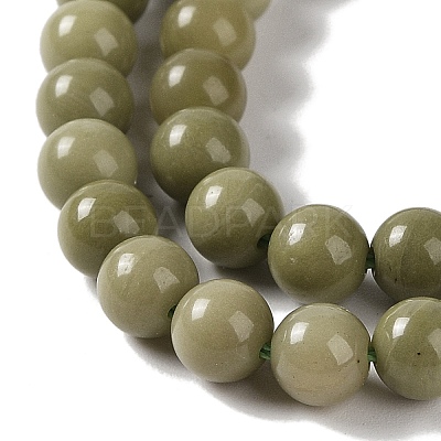 Natural Alashan Agate Beads Strands G-P530-B05-02-1