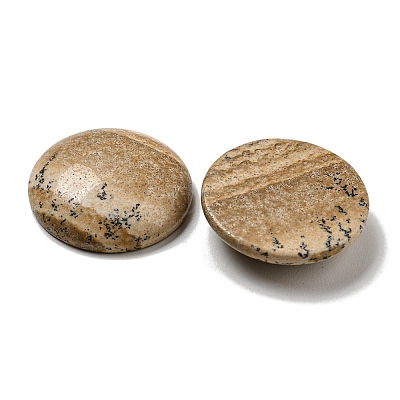 Natural Picture Jasper Cabochons G-C115-02B-22-1
