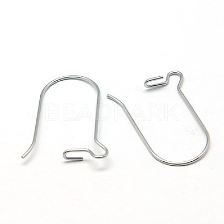 316 Surgical Stainless Steel Hook Earrings STAS-E009-5-1