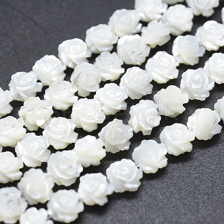 Natural White Shell Beads Strands SSHEL-P015-01A-6mm-1