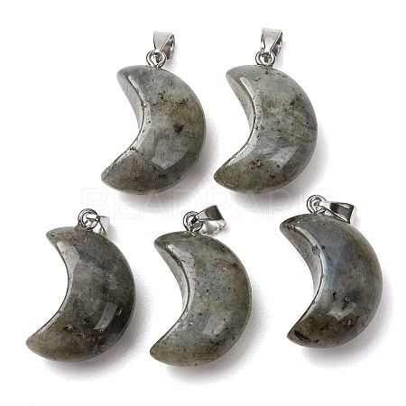 Natural Labradorite Pendants G-F820-02C-01-1