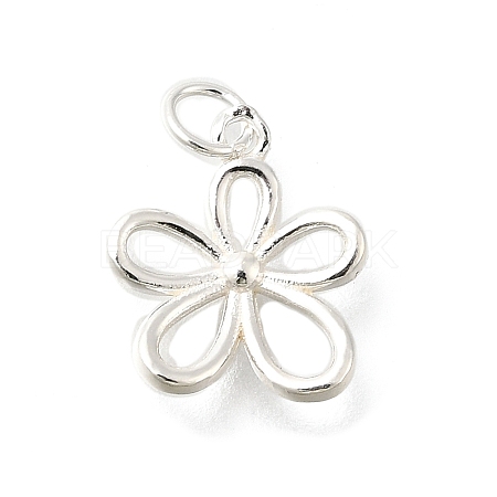 925 Sterling Silver Pendants STER-Q003-01E-S-1