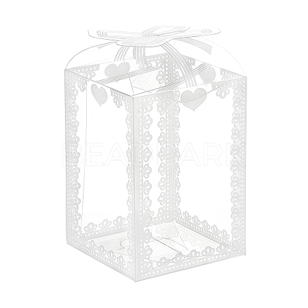 BENECREAT Transparent PVC Box CON-BC0002-12A-1