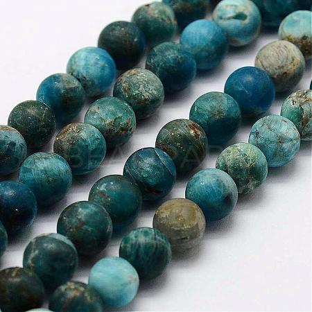 Natural Apatite Beads Strands G-K193-10mm-12-1