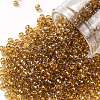 TOHO 8/0 Round Beads X-SEED-TR08-1815-1