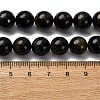 Dyed Natural Blue Tiger Iron Beads Strands G-G286-A03-10mm-5