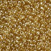 (Repacking Service Available) Glass Seed Beads SEED-C015-3mm-102B-2