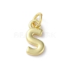 Rack Plating Brass Charms KK-P245-06G-S-1