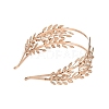 Fashionable Iron Hair Band Findings OHAR-T008-01KCG-3