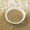 MIYUKI Round Rocailles Beads X-SEED-G008-RR0003-2
