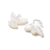 Natural Shell Beads BSHE-H017-02-3