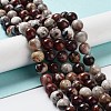 Natural Mexican Red Laguna Lace Agate Round Beads Strands G-NH0005-A31-03-2