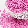 (Repacking Service Available) Baking Paint Glass Seed Beads SEED-C024-C-K2-1