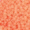 6/0 Luminous Glass Seed Beads SEED-NH0001-01D-3
