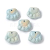 Natural Rainbow Alashan Agate Charms G-G194-01F-1