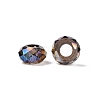 Transparent Glass European Beads GPDL-N005-D14mm-A17-2