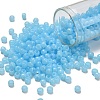 TOHO 6/0 Round Beads SEED-XTR06-1143-1