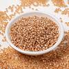 MIYUKI Round Rocailles Beads X-SEED-G008-RR0580-2