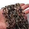 Natural Smoky Quartz Beads Strands G-I389-A31-01A-1