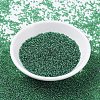 MIYUKI Round Rocailles Beads SEED-X0054-RR0173-3
