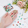 Transparent Czech Glass Beads GLAA-WR0001-03B-3