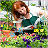 1 Set Butterfly Acrylic Plant Labels AJEW-BC0008-69-5
