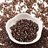 Glass Seed Beads SEED-M011-01B-08-3