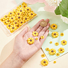  100Pcs 4 Styles Flatback Hair & Costume Accessories Ornaments Resin Flower Daisy Cabochons CRES-NB0001-37A-3