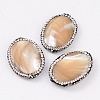 Oval Natural Shell Beads BSHE-E005-02-1