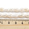 Natural Keshi Pearl Cultured Freshwater Pearl Beads Strands PEAR-P062-34-5