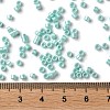 Baking Paint Glass Seed Beads X-SEED-S042-15A-09-4