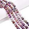 Natural Imperial Jasper Beads Strands G-N342-63I-4