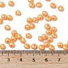 6/0 Glass Seed Beads SEED-L011-08A-19-4