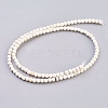 Natural Magnesite Beads Strands TURQ-L017-4mm-02A-2