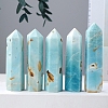 Point Tower Natural Amazonite Home Display Decoration PW-WG33943-02-2