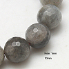 Natural Labradorite Beads Strands G-G213-10mm-03-1
