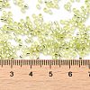 Glass Seed Beads X-SEED-S042-04B-24-4