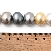 Shell Pearl Beads Strands BSHE-F013-01J-4