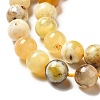 Natural Yellow Opal Beads Strands G-G992-A02-A-5