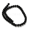 Natural Black Onyx(Dyed & Heated) Beads Strands G-H329-C06-6mm-3